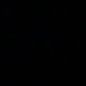 Meet your Posher, Arnold